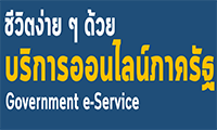 Government Service