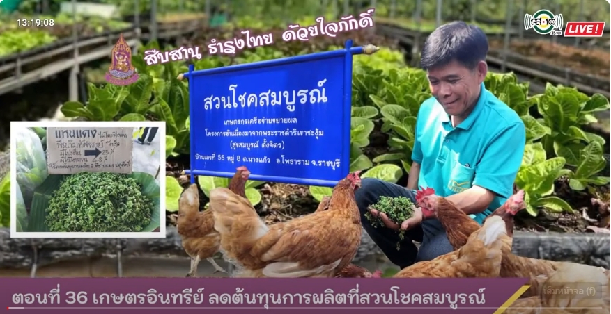 ปี 2566 : รายการ สืบสาน ธำรงไทย ด้วยใจภักดิ์ ตอนที่ 36 เกษตรอินทรีย์ ลดต้นทุนการผลิตที่สวนโชคสมบูรณ์ 
