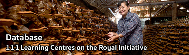111 Learning Centres On The Royal Initiative