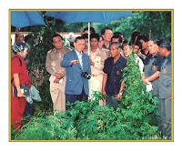 พระราชดำรัส พระบาทสมเด็จพระบรมชนกาธิเบศร มหาภูมิพลอดุลยเดชมหาราช บรมนาถบพิตร ด้านโครงการพัฒนาการเกษตร (ทฤษฎีใหม่)