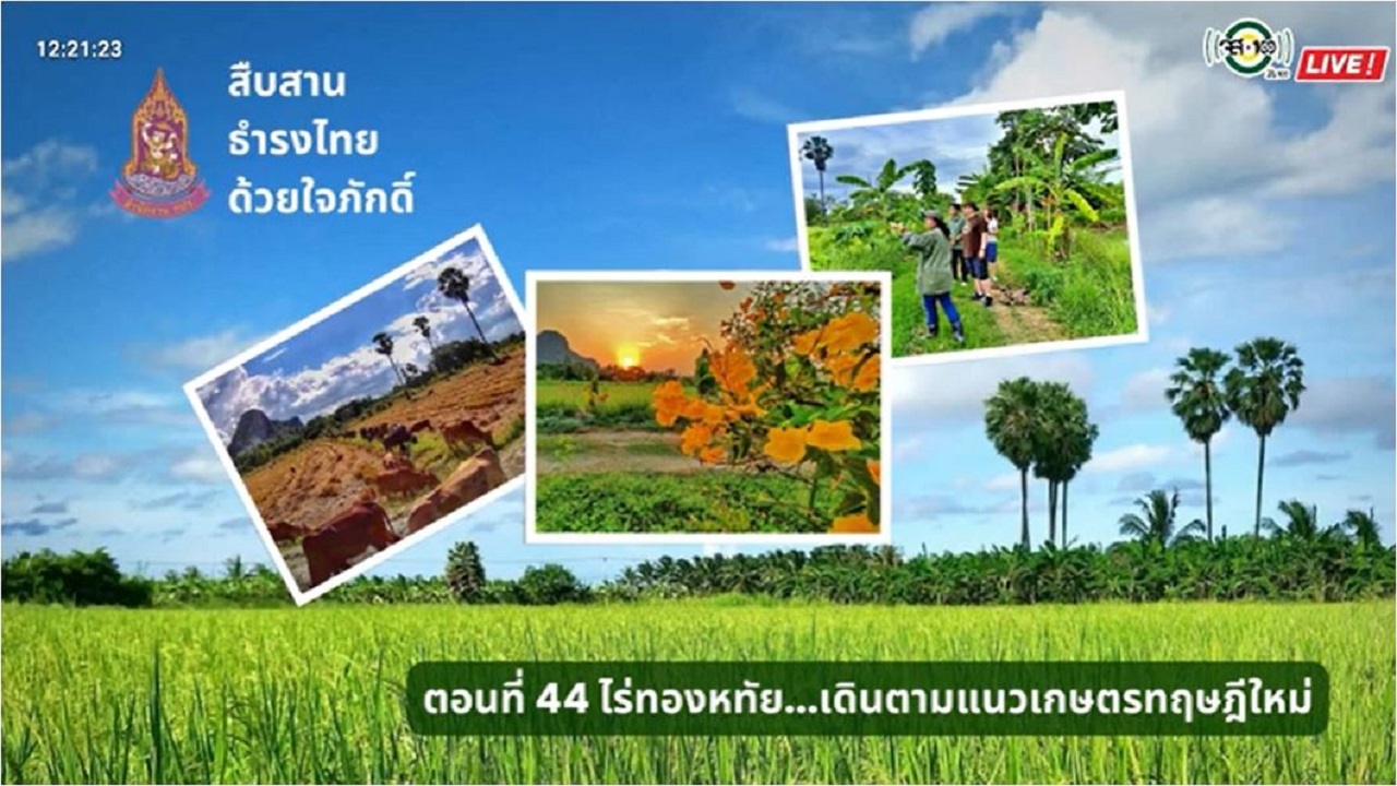 ปี 2565 : รายการ สืบสาน ธำรงไทย ด้วยใจภักดิ์ ตอนที่ 44 ไร่ทองหทัย...เดินตามแนวเกษตรทฤษฎีใหม่