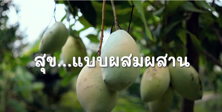 สารคดีเชิงข่าว สืบสาน สร้างสุขปวงประชา ปี 2566 ตอนที่ 9 สุข แบบผสมผสาน