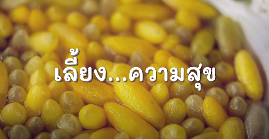 สารคดีเชิงข่าว สืบสาน สร้างสุขปวงประชา ปี 2566 ตอนที่ 13 เลี้ยง ความสุข 