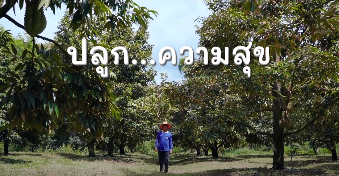 สารคดีเชิงข่าว สืบสาน สร้างสุขปวงประชา ปี 2566 ตอนที่ 15 ปลูกความสุข