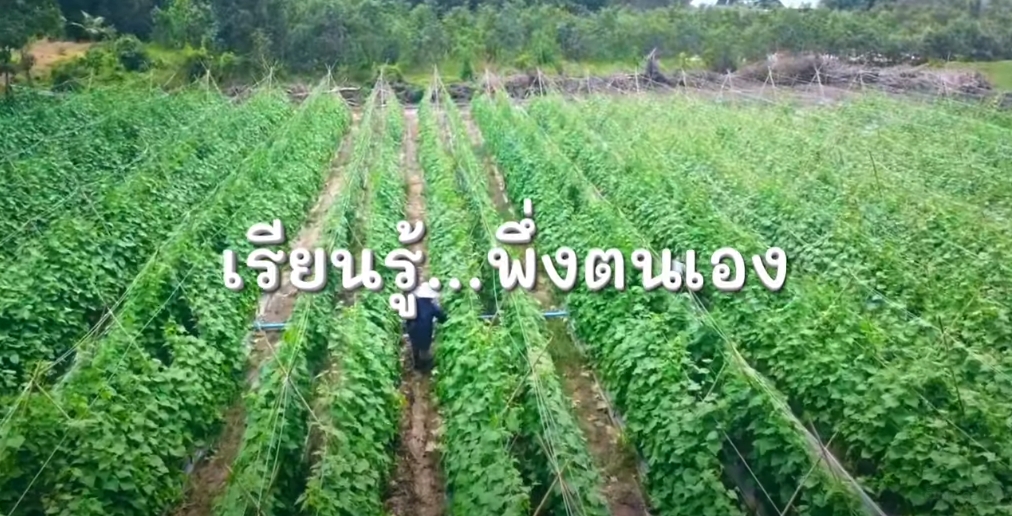 สารคดีเชิงข่าว สืบสาน สร้างสุขปวงประชา ปี 2566 ตอนที่ 21 เรียนรู้ พึ่งตนเอง