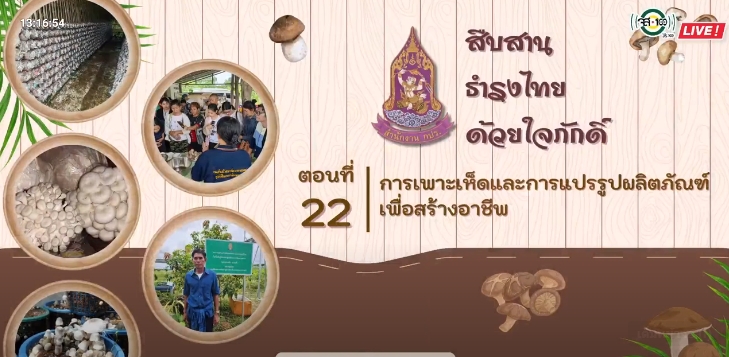 ปี 2566 : รายการ สืบสาน ธำรงไทย ด้วยใจภักดิ์ ตอนที่ 22 การเพาะเห็ดและการแปรรูปผลิตภัณฑ์เพื่อสร้างอาชีพ 