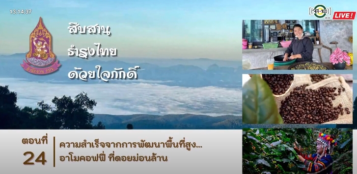 ปี 2566 : รายการ สืบสาน ธำรงไทย ด้วยใจภักดิ์ ตอนที่ 24 ความสำเร็จจากการพัฒนาพื้นที่สูง...อาโมคอฟฟี่ที่ดอยม่อนล้าน 