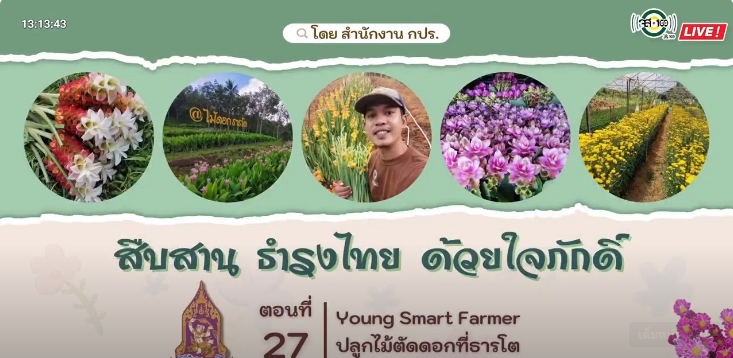 ปี 2566 : รายการ สืบสาน ธำรงไทย ด้วยใจภักดิ์ ตอนที่ 27 Young Smart Farmer ปลูกไม้ตัดดอกที่ธารโต
