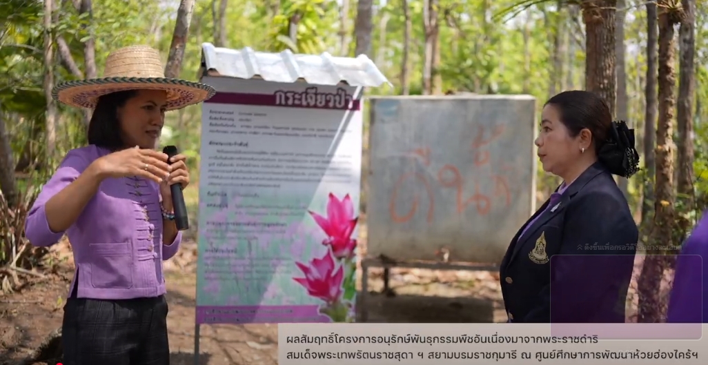 สารคดีเชิงข่าว สืบสาน สร้างสุขปวงประชา ปี 2568 ตอนที่ 8 โครงการอนุรักษ์พันธุกรรมพืชอันเนื่องมาจากพระราชดำริ สมเด็จพระเทพรัตนราชสุดา ฯ สยามบรมราชกุมารี