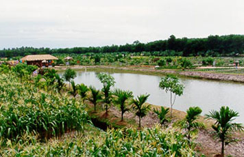 Pikun Thong Royal Development Study Centre