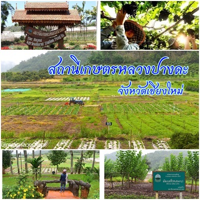 Pangda Royal Agricultural Station Chiangmai Province