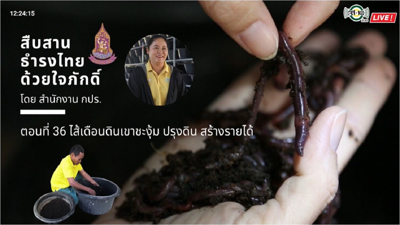 ปี 2565 : รายการ สืบสาน ธำรงไทย ด้วยใจภักดิ์ ตอนที่ 36 ไส้เดือนดินเขาชะงุ้ม ปรุงดิน สร้างรายได้