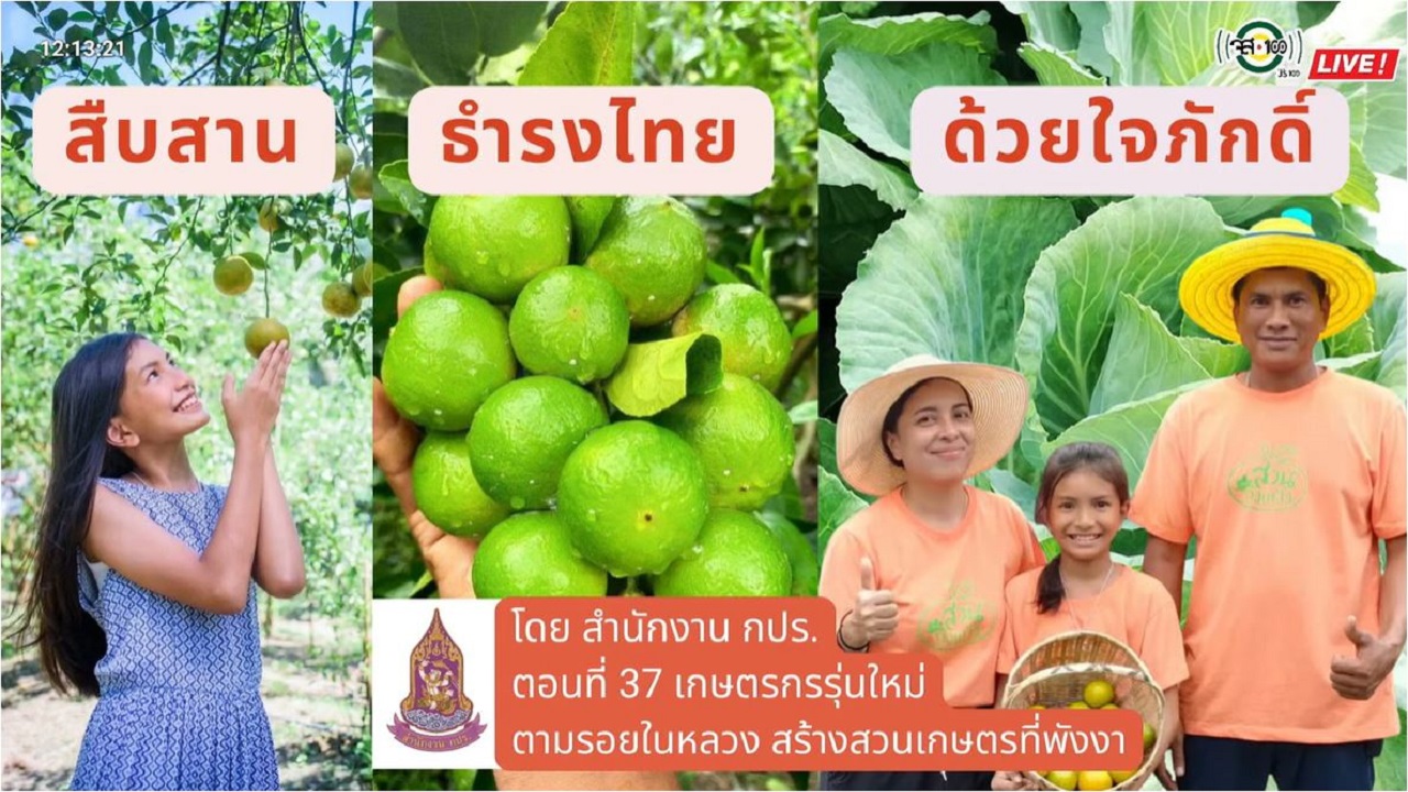 ปี 2565 : รายการ สืบสาน ธำรงไทย ด้วยใจภักดิ์ ตอนที่ 37 เกษตรรุ่นใหม่ตามรอยในหลวง สร้างสวนเกษตรที่พังงา