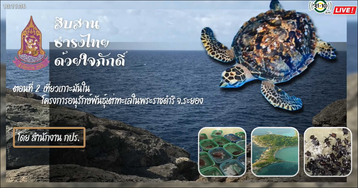 ปี 2566 : รายการ สืบสาน ธำรงไทย ด้วยใจภักดิ์  ตอนที่ 2 เที่ยวเกาะมันใน โครงการอนุรักษ์พันธุ์เต่าทะเลในพระราชดำริ จังหวัดระยอง