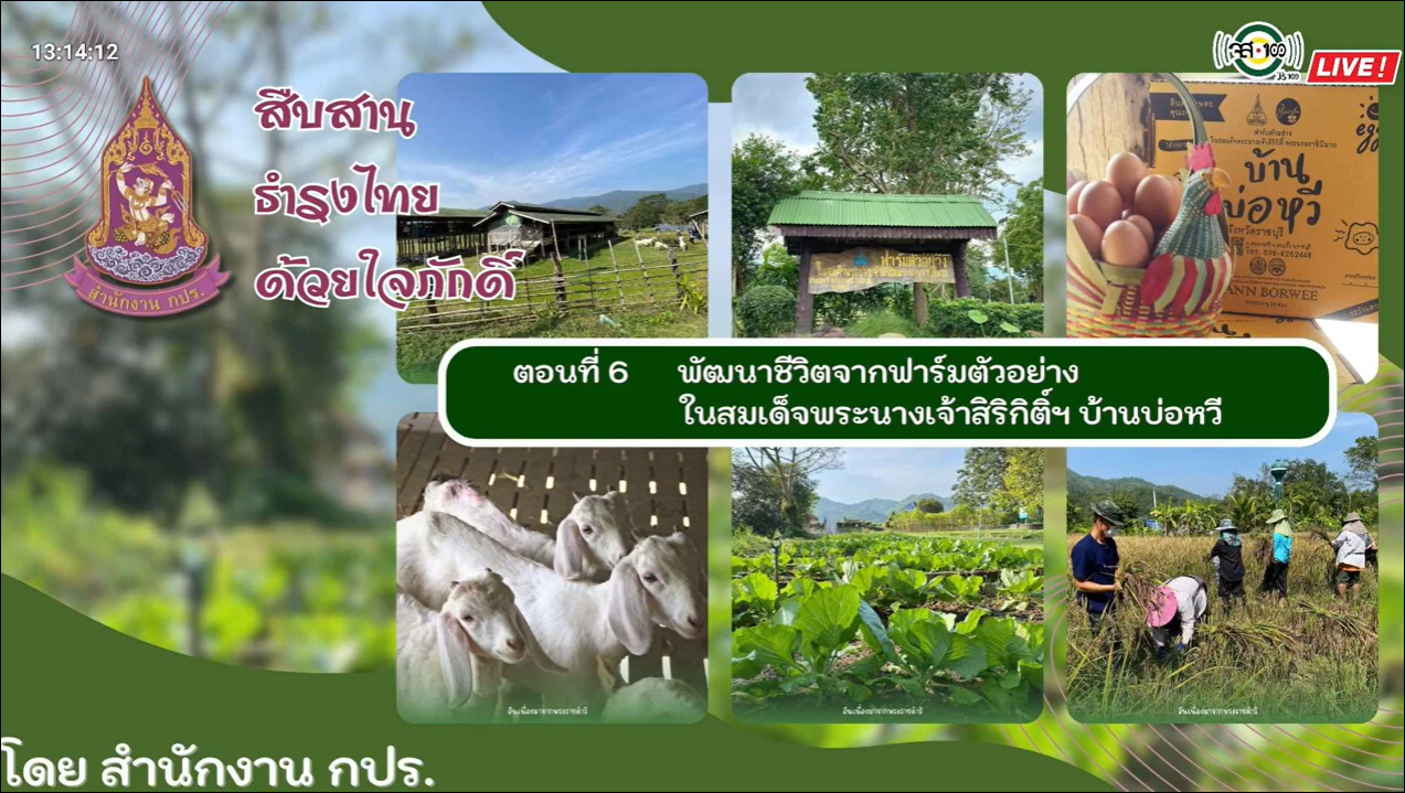 ปี 2566 : รายการ สืบสาน ธำรงไทย ด้วยใจภักดิ์  ตอนที่ 6 พัฒนาชีวิตจากฟาร์มตัวอย่างในสมเด็จพระนางเจ้าสิริกิติ์ฯ บ้านบ่อหวี