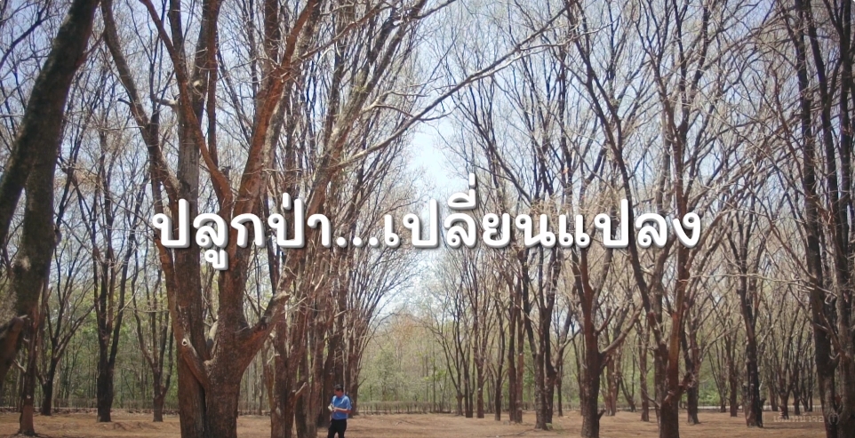 สารคดีเชิงข่าว สืบสาน สร้างสุขปวงประชา ปี 2566 ตอนที่ 33 ปลูกป่า เปลี่ยนแปลง
