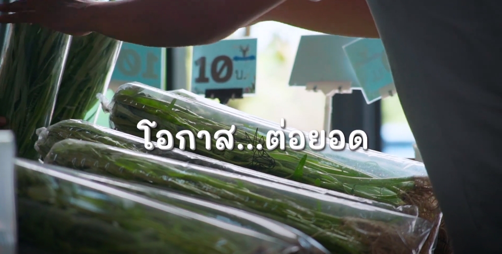 สารคดีเชิงข่าว สืบสาน สร้างสุขปวงประชา ปี 2566 ตอนที่ 38 โอกาส...ต่อยอด