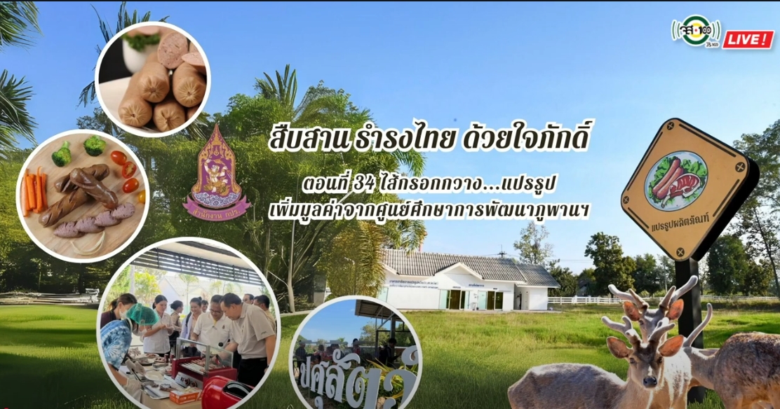 ปี 2567 : รายการ สืบสาน ธำรงไทย ด้วยใจภักดิ์ ตอนที่ 34 ไส้กรอกกวาง แปรรูป เพิ่มมูลค่าจากศูนย์ศึกษาการพัฒนาภูพานฯ