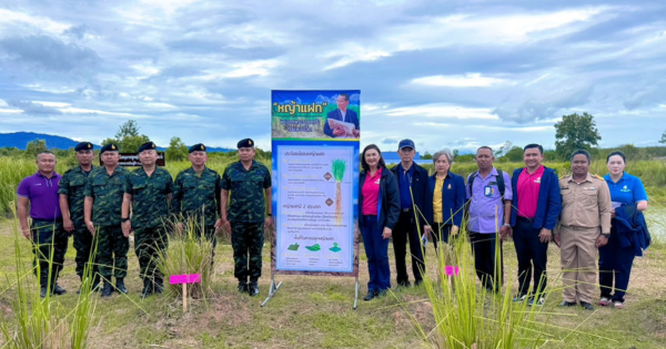 ทหารพันธุ์ดี ร่วมใจปลูกแฝก สืบสานแนวพระราชดำริ ณ กองพันทหารราบที่ 3 ค่ายกรมหลวงนราธิวาสราชนครินทร์ จังหวัดนราธิวาส