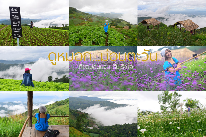  Mong Mun Cham Project Chiangmai Province